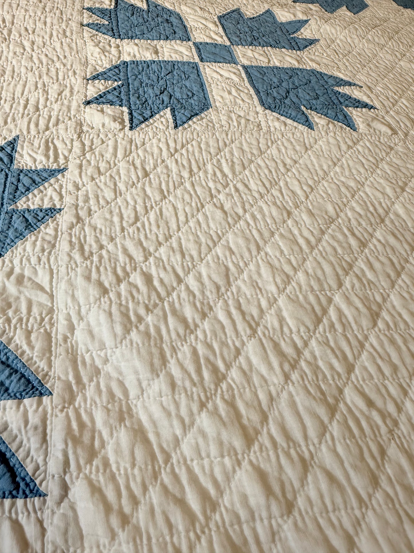 Blue and White Bear Paw Quilt