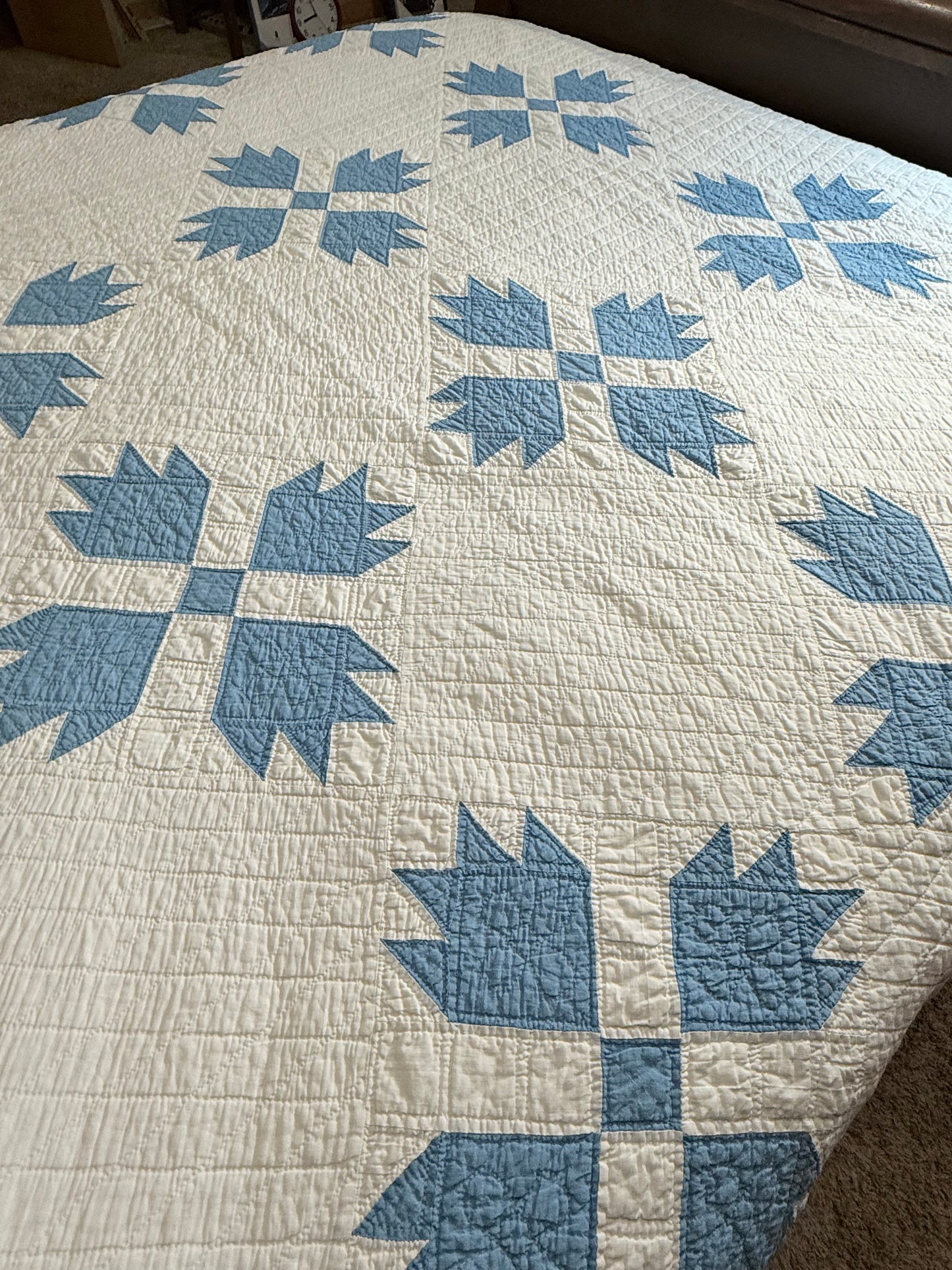 Blue and White Bear Paw Quilt