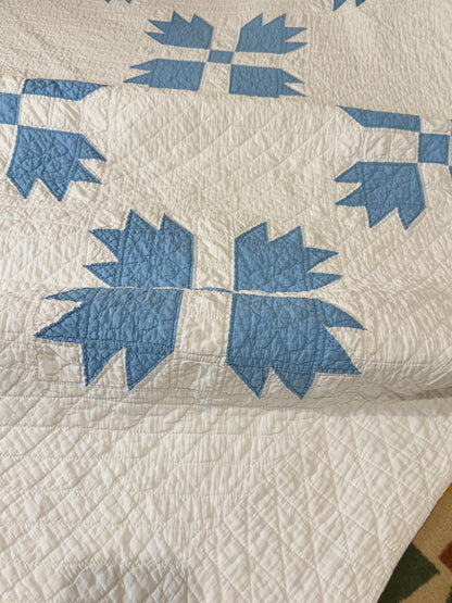 Blue and White Bear Paw Quilt