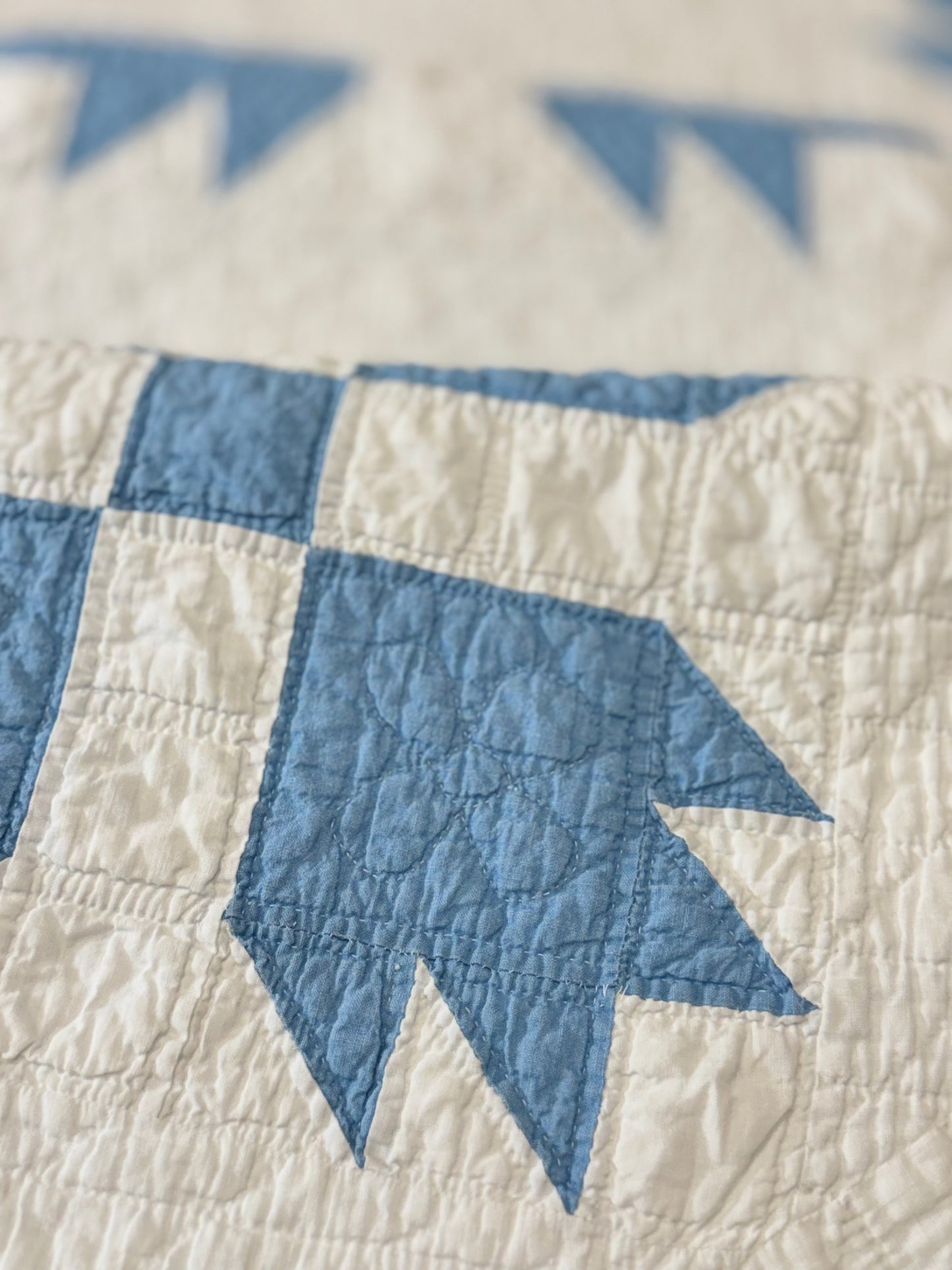 Blue and White Bear Paw Quilt