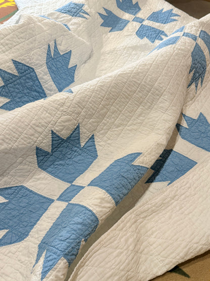 Blue and White Bear Paw Quilt