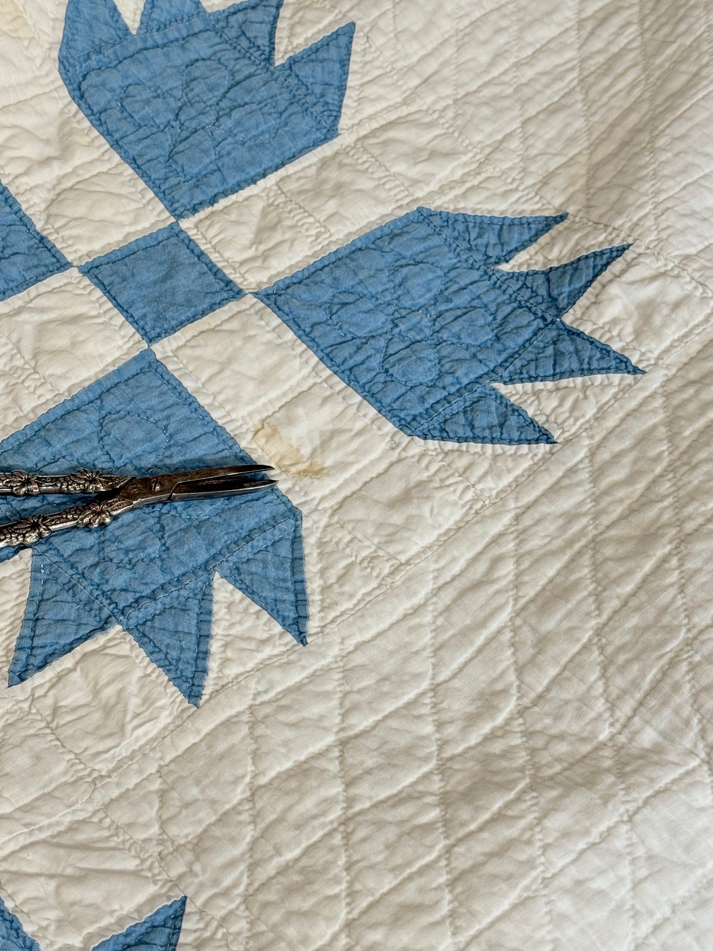 Blue and White Bear Paw Quilt