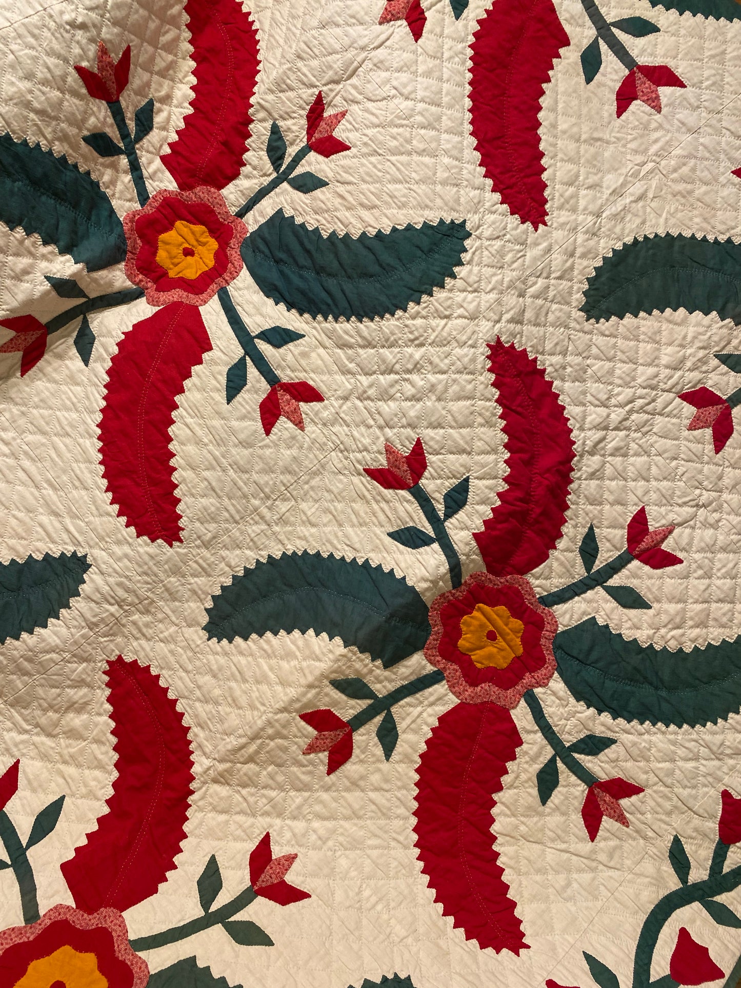 Princess Feathers and Tulips Appliqué Quilt 1907-Signed