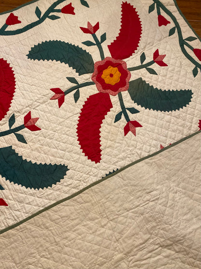 Princess Feathers and Tulips Appliqué Quilt 1907-Signed