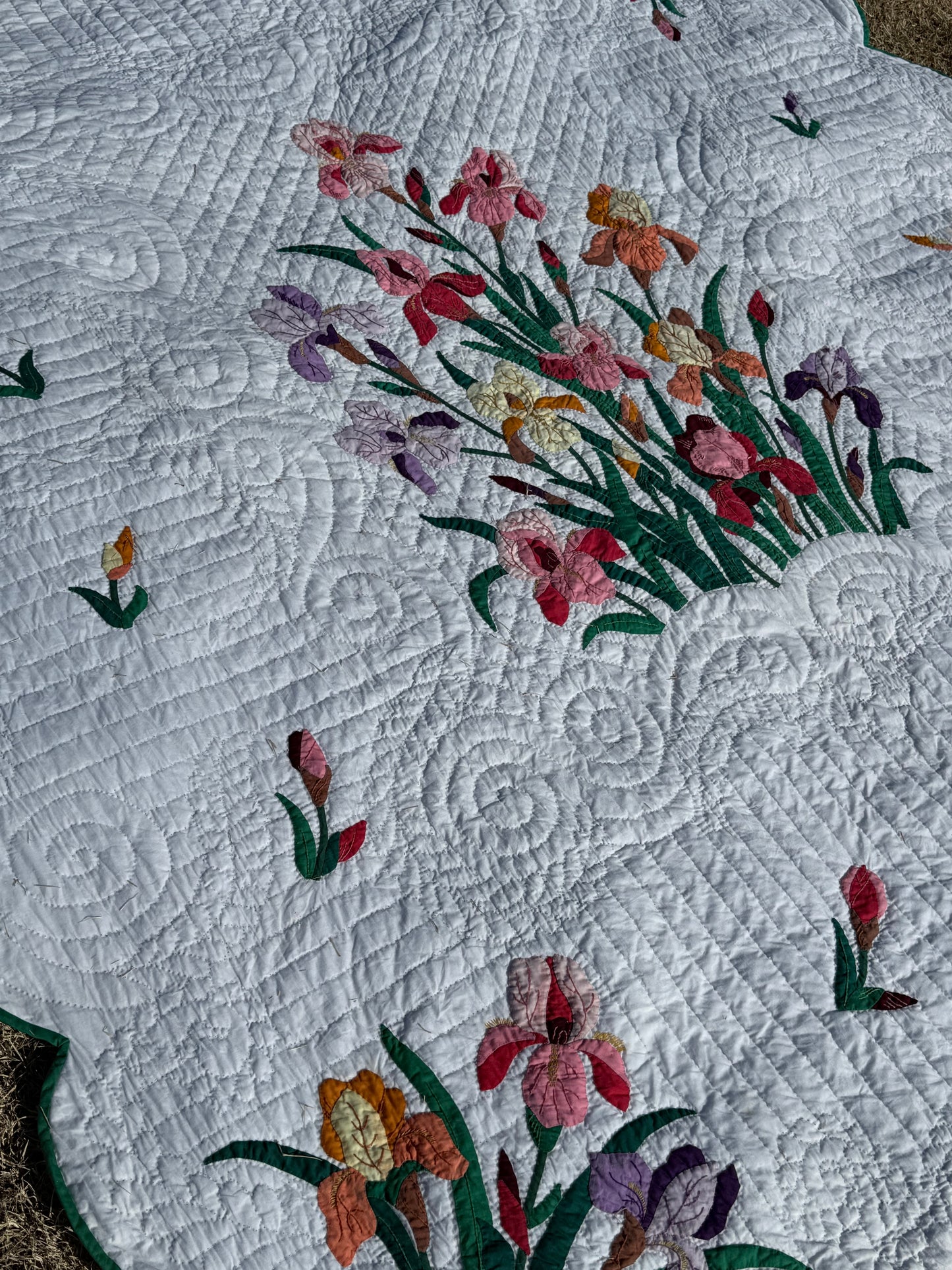 The Iris Garden Quilt