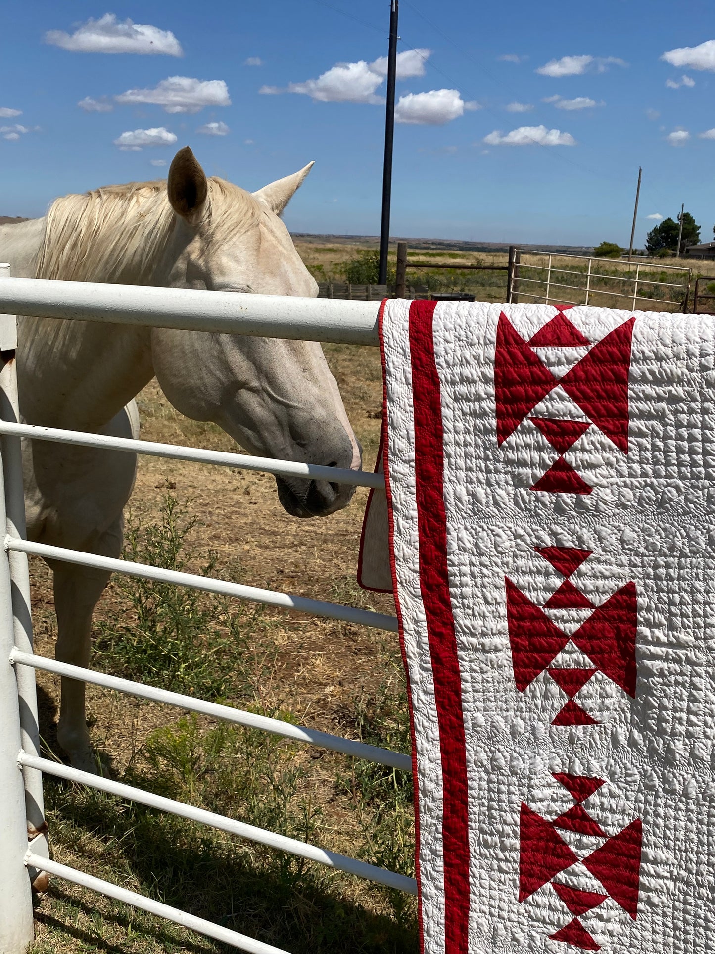 Crosses and Losses Quilt