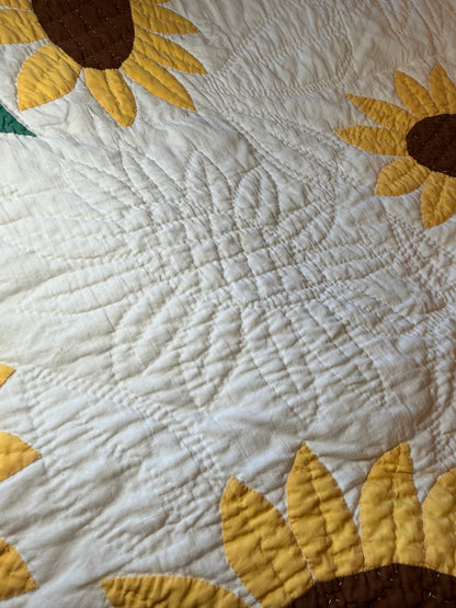 Amazing Sunflower Appliqué Quilt- A Mountain Mist Pattern