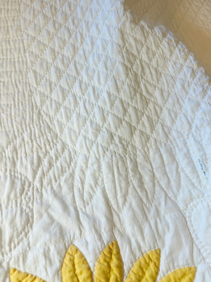 Amazing Sunflower Appliqué Quilt- A Mountain Mist Pattern