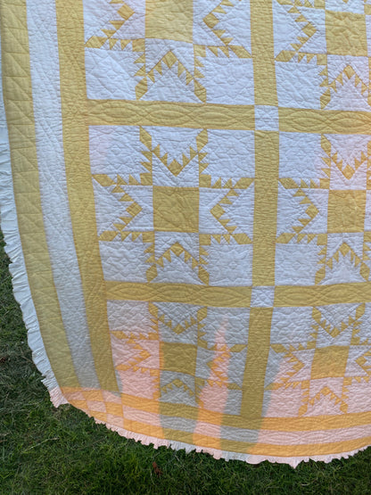 Feathered Stars Quilt- Pending