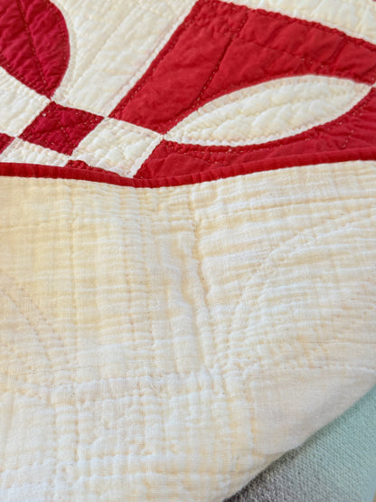 Red and White Rose Dream Quilt