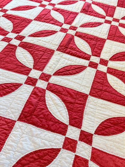 Red and White Rose Dream Quilt