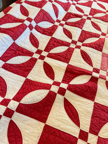 Red and White Rose Dream Quilt