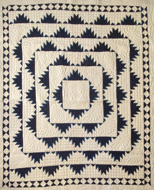 Indigo Delectable Mountains Quilt with Border