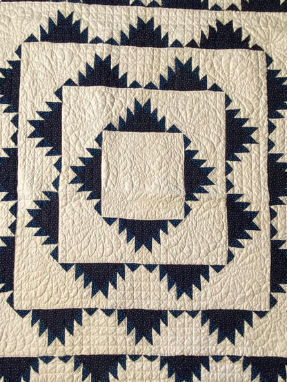 Indigo Delectable Mountains Quilt with Border
