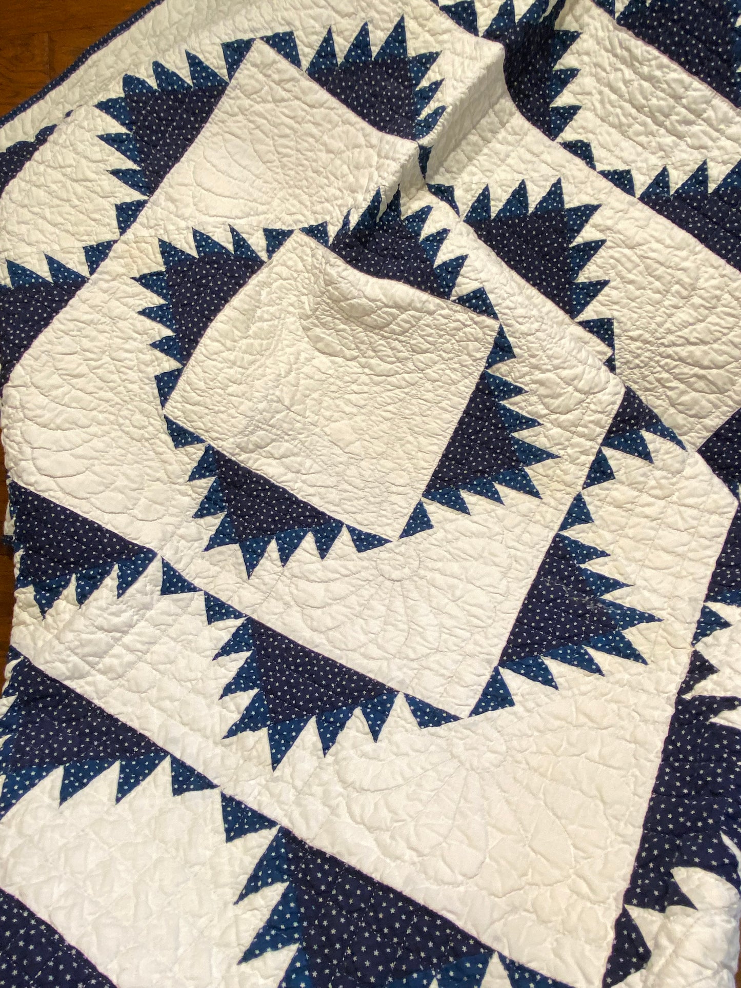 Indigo Delectable Mountains Quilt with Border
