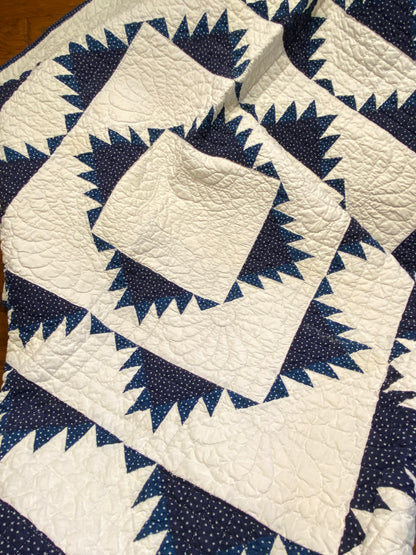 Indigo Delectable Mountains Quilt with Border
