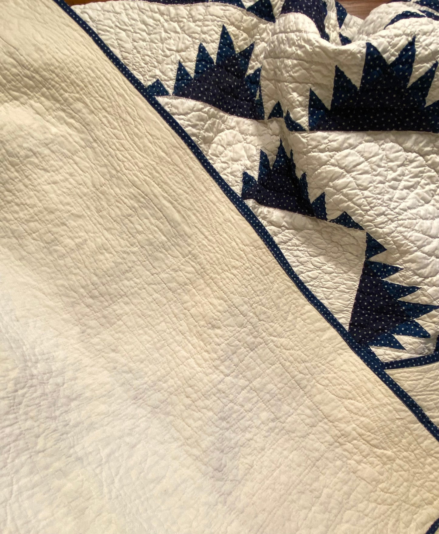 Indigo Delectable Mountains Quilt with Border