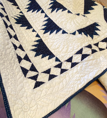 Indigo Delectable Mountains Quilt with Border