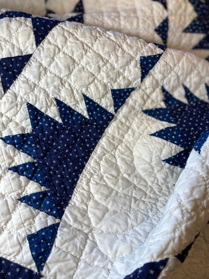 Indigo Delectable Mountains Quilt with Border