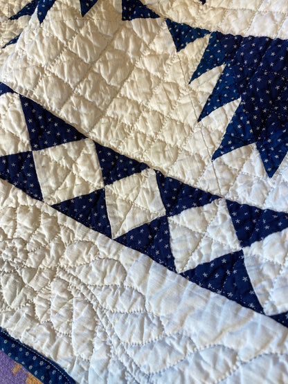 Indigo Delectable Mountains Quilt with Border