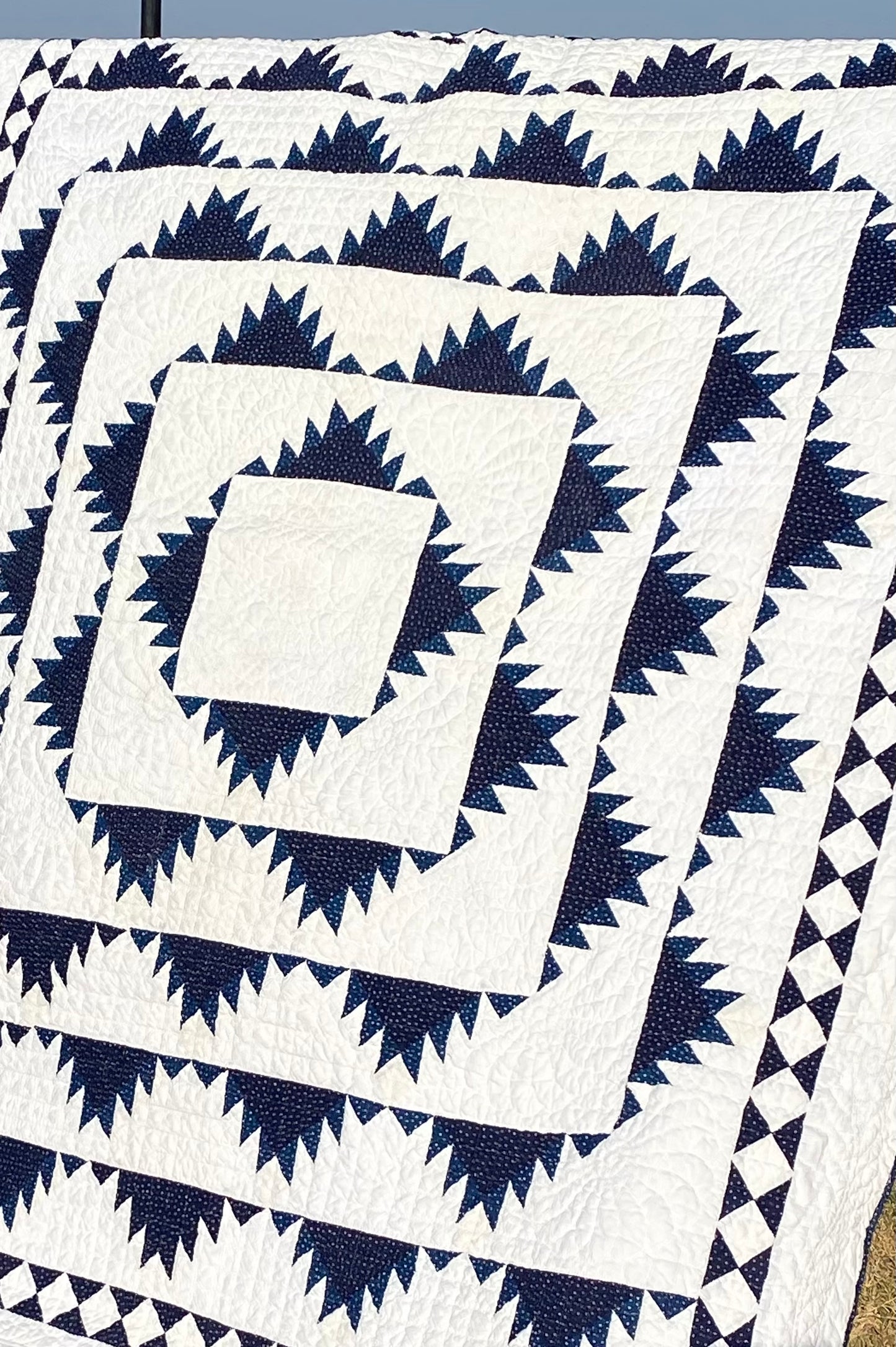 Indigo Delectable Mountains Quilt with Border