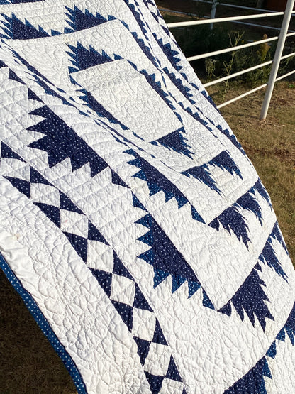 Indigo Delectable Mountains Quilt with Border