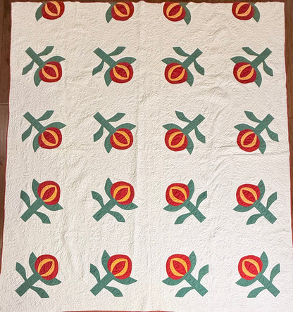 Love Apple Pieced Quilt