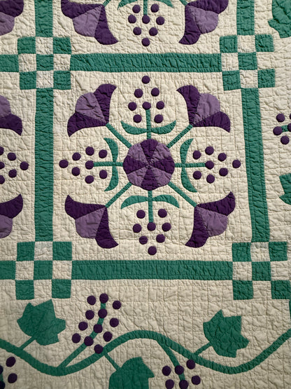 Delightful 9 Block Honeysuckle Quilt