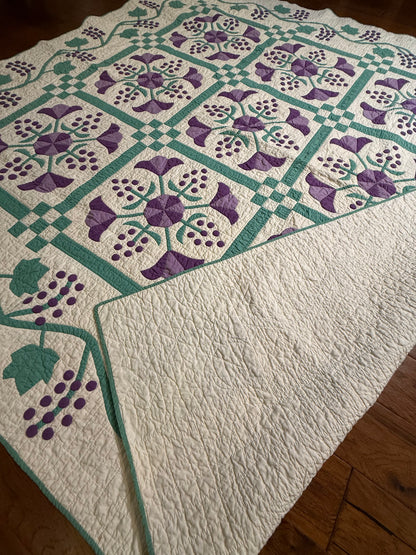 Delightful 9 Block Honeysuckle Quilt