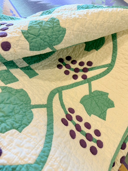 Delightful 9 Block Honeysuckle Quilt