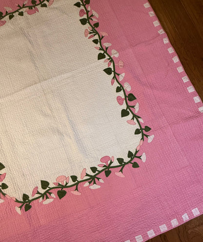 Morning Glory Appliqué Quilt with Blocks Border