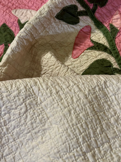 Morning Glory Appliqué Quilt with Blocks Border