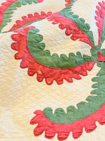 Princess Feather Appliqué  Quilt