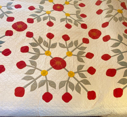 Early Rose and Tulips Quilt