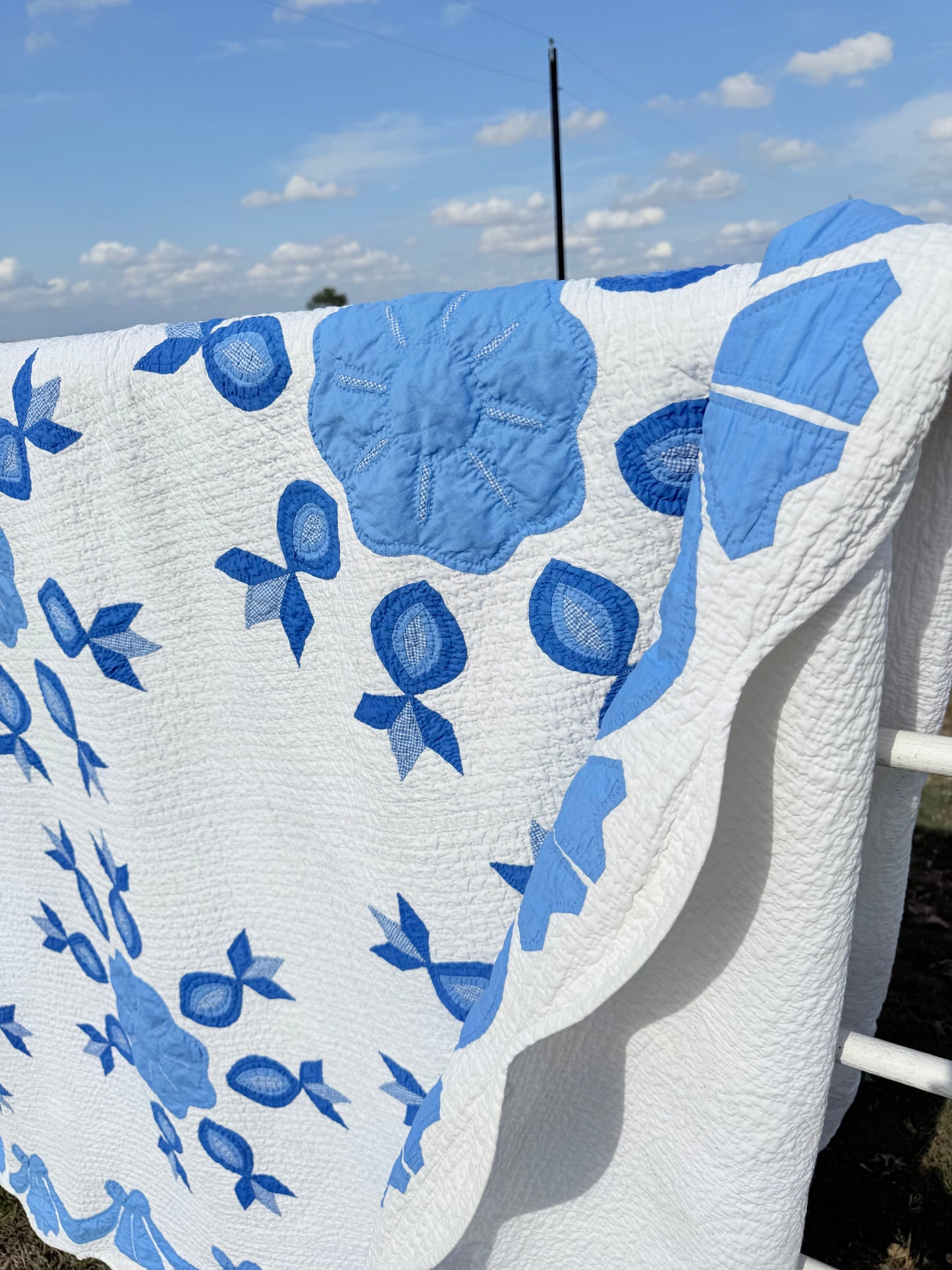 Exquisite The Ladies  Dream Appliqué Quilt Dated