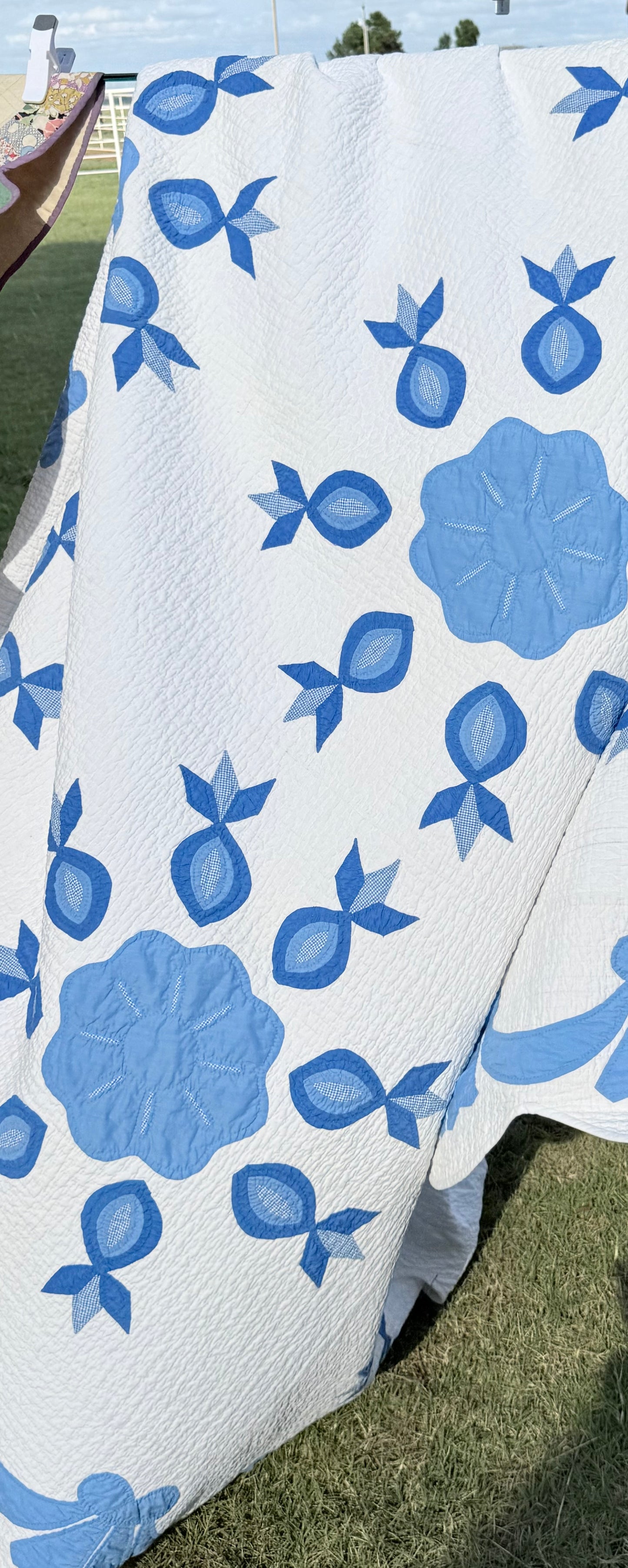 Exquisite The Ladies  Dream Appliqué Quilt Dated
