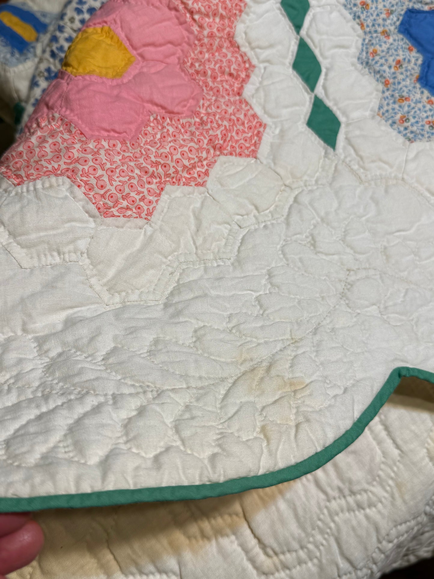 Outstanding Flower Garden with Diamond  Trail Quilt