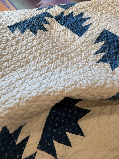 Blue and White Kansas Troubles Quilt