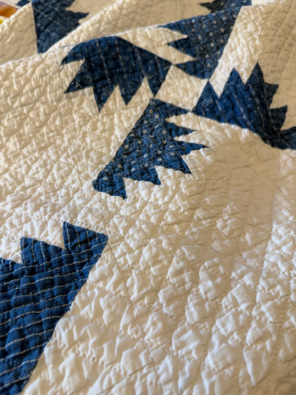 Blue and White Kansas Troubles Quilt