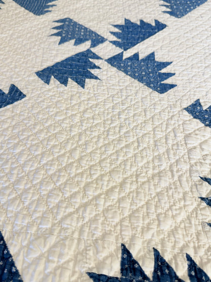Blue and White Kansas Troubles Quilt