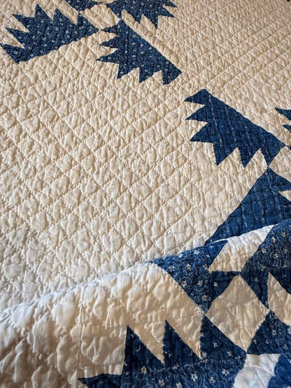 Blue and White Kansas Troubles Quilt