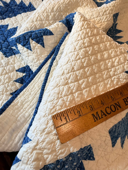 Blue and White Kansas Troubles Quilt