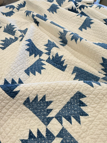 Blue and White Kansas Troubles Quilt