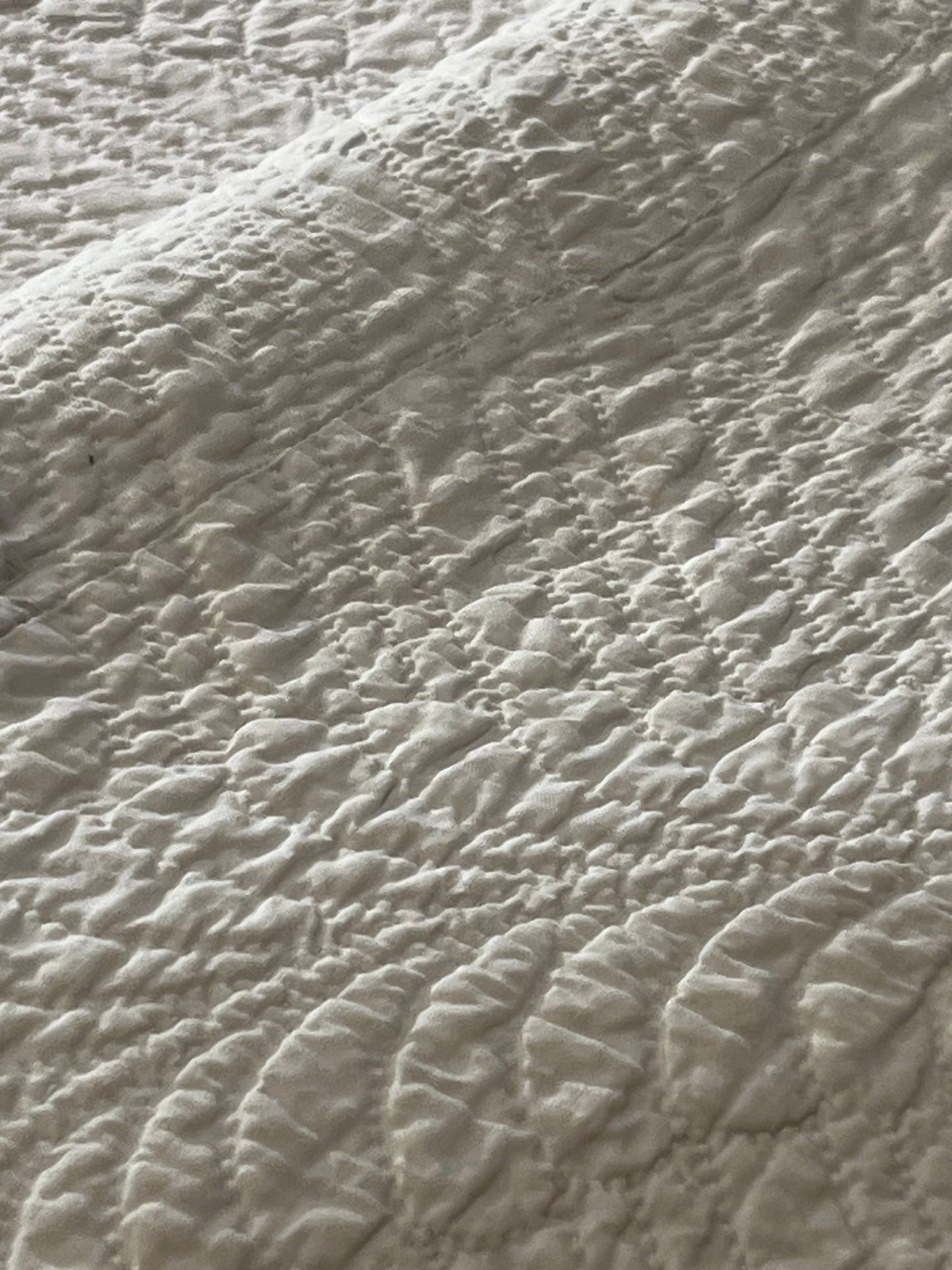 Early Double X Indigo Quilt