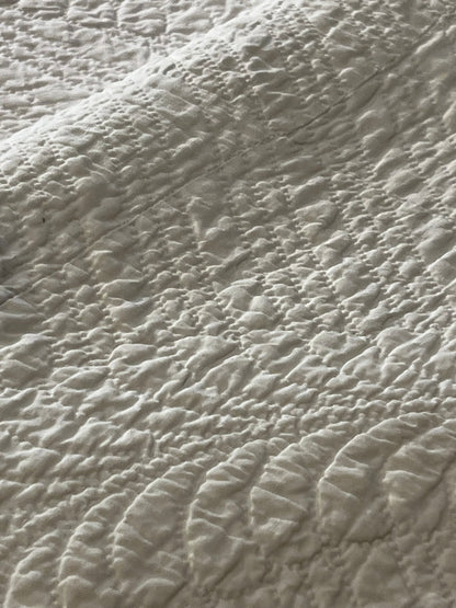Early Double X Indigo Quilt