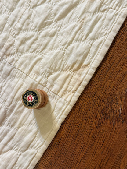 Comet Stars Quilt… A Missouri State Quilt Block