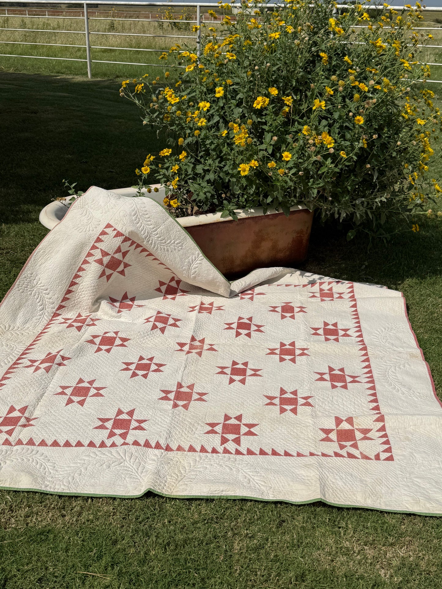 Ohio Stars Signed And Dated Trapunto Quilt 1869