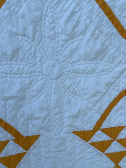 Pieced and Appliqué Basket Quilt