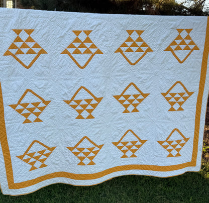 Pieced and Appliqué Basket Quilt