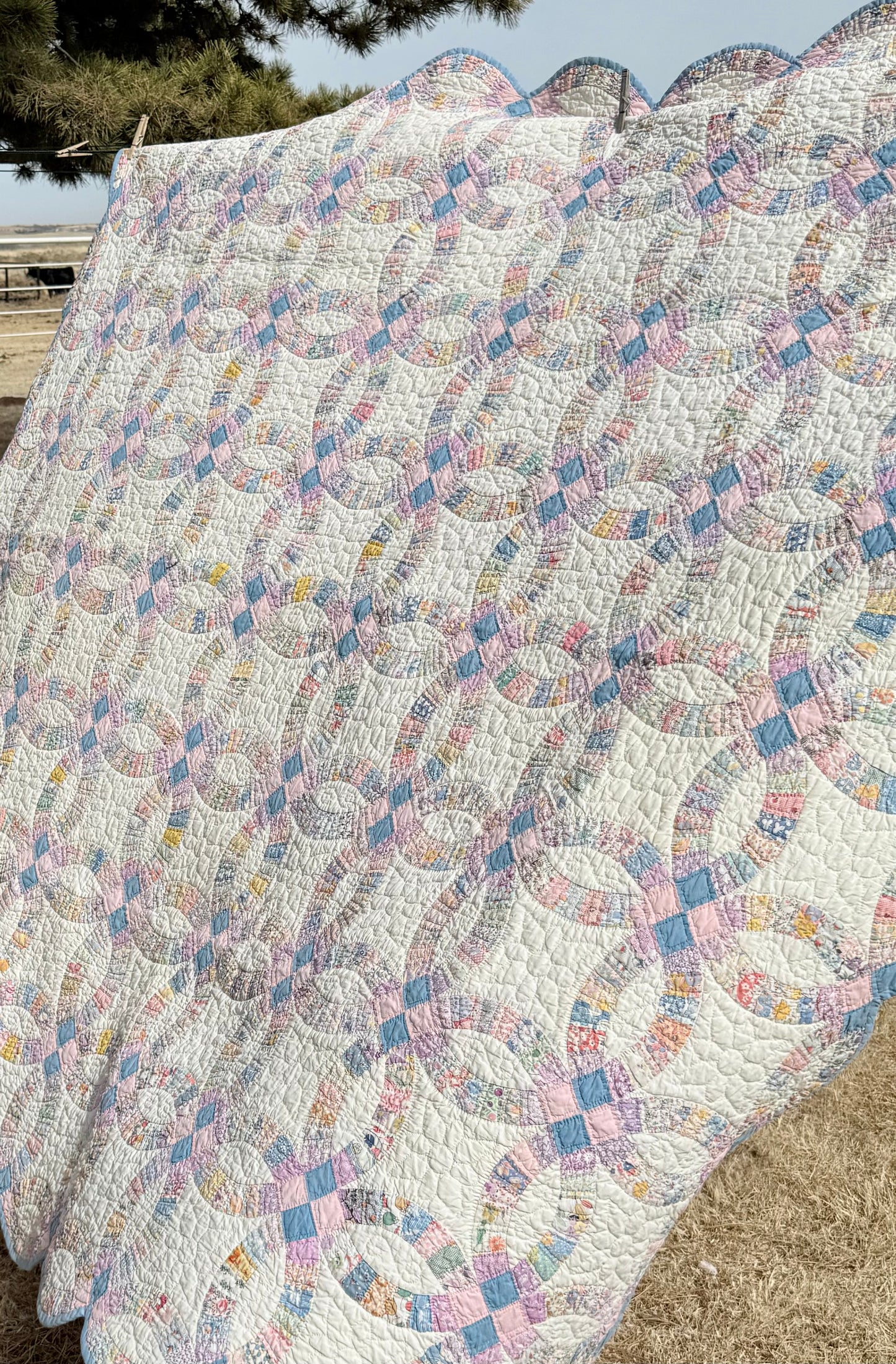 Smaller Scale Double Wedding Ring Quilt- Dated / Initials